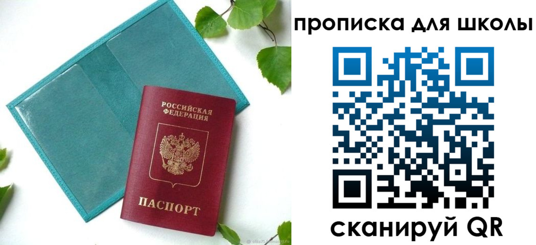 прописка в Порхове